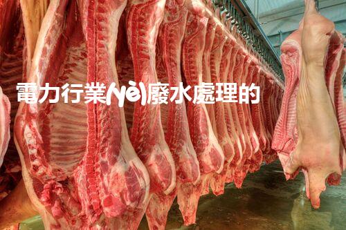 電力行業(yè)廢水處理的以后：技術(shù)突破與環(huán)境保護(hù)！
